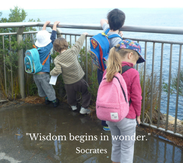 -Wisdom begins in wonder.-